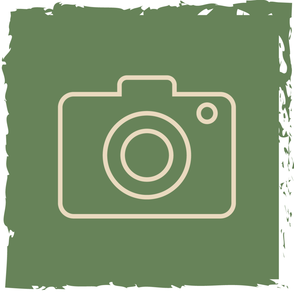 Fotografie